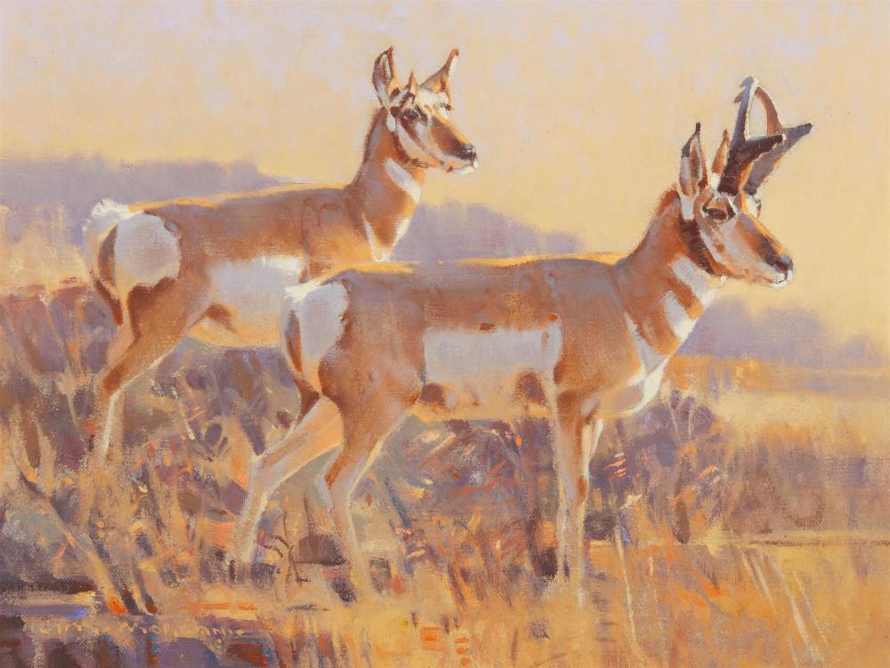 Appraisal: James Jim Morgan b High Desert Pronghorns Oil on linen