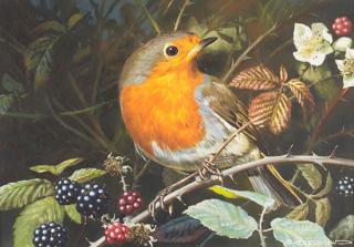 Appraisal: European Robin and Blackberries by Carl Brenders Carl Brenders -