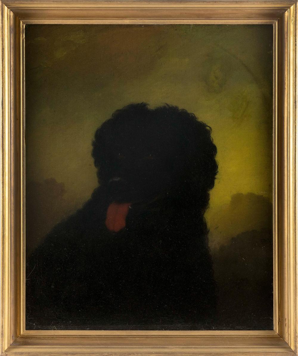 Appraisal: AMERICAN SCHOOL TH CENTURY PORTRAIT OF A DOG OIL ON