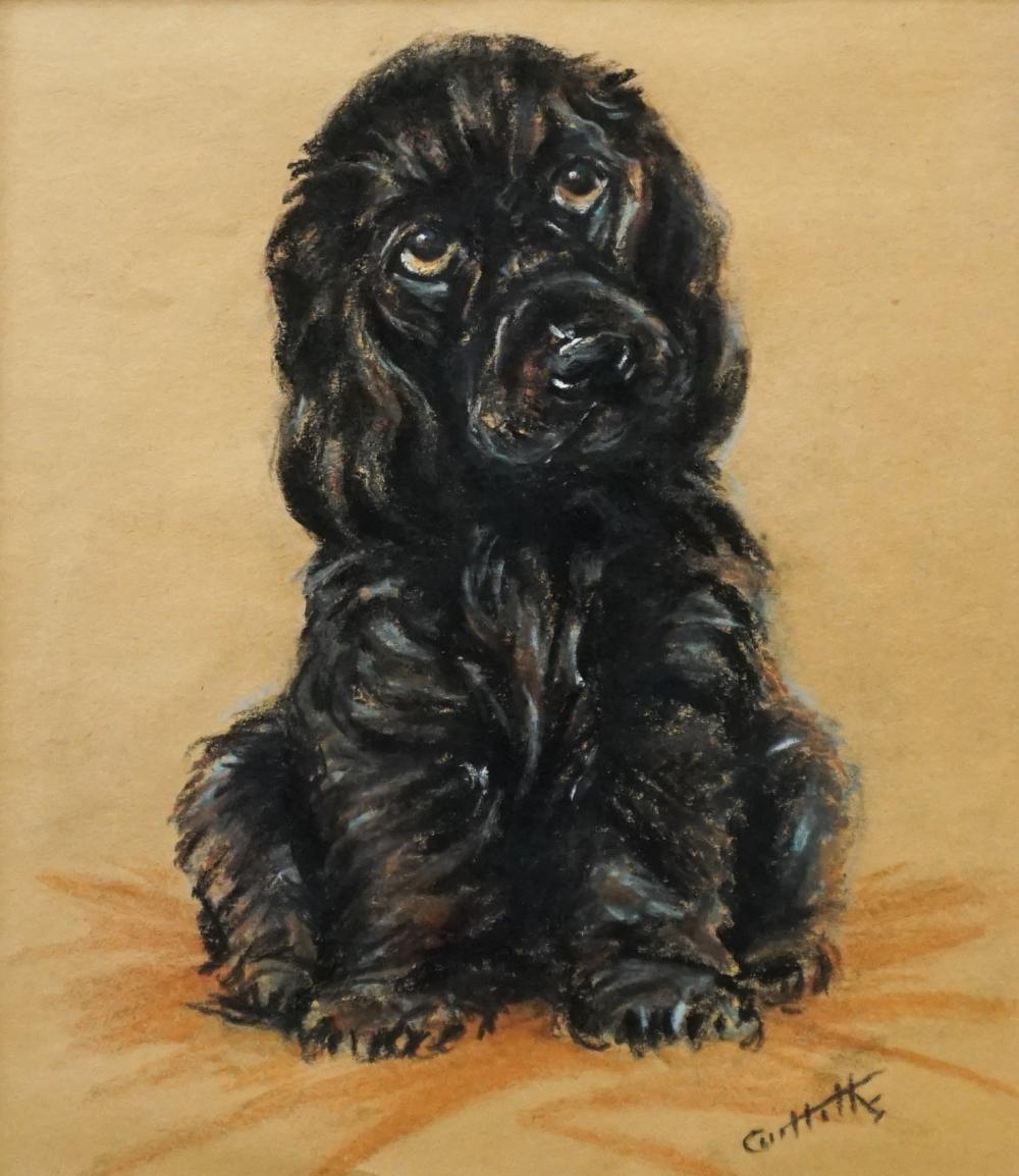 Appraisal: Hills American or British th Century Cocker Spaniel Pup Pastel