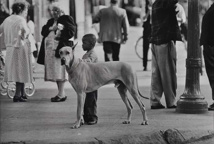 Appraisal: GEORGE ZIMBEL b BOY AND GREAT DANE HARLEM c Gelatin