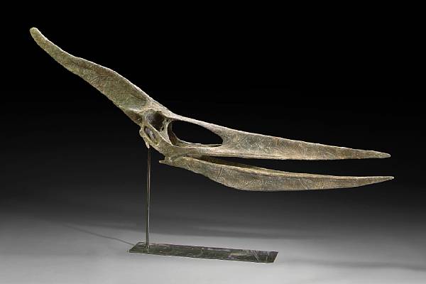 Appraisal: Pteranodon longiceps Late Cretaceous Kansas Pteranodon was a flying reptile