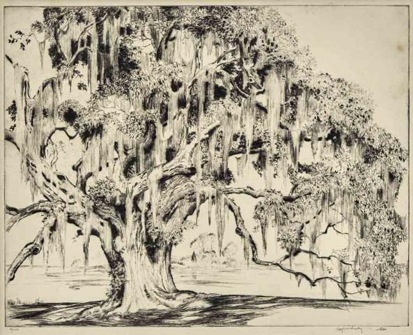 Appraisal: Alfred Heber Hutty AN ANCIENT OAK Drypoint signed and numbered