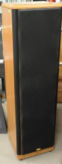 Appraisal: Pair of Legacy Audio Focus Floor Tower speakers w peak