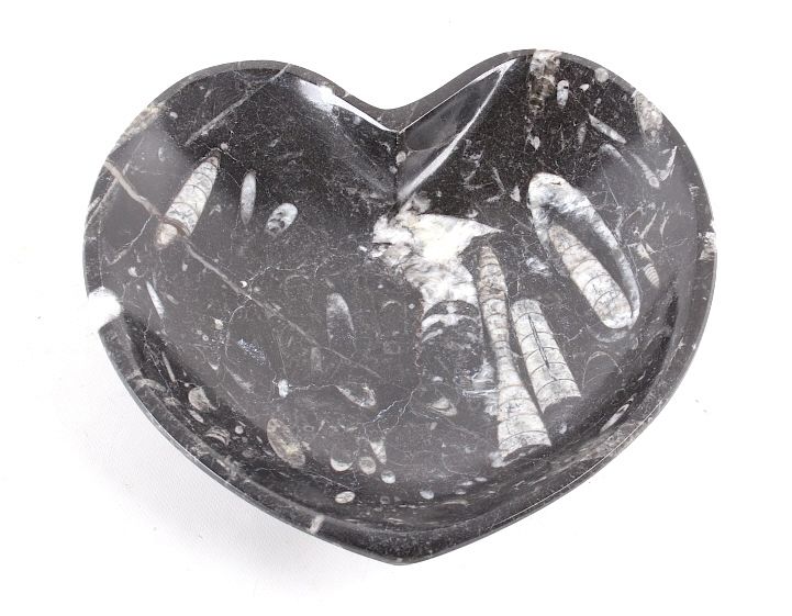 Appraisal: Prehistoric Orthoceras Fossil Polished Heart Bowl For your consideration in