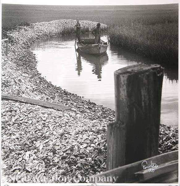 Appraisal: Theodore Fonville Winans American Louisiana - Louisiana Oysterman silver gelatin