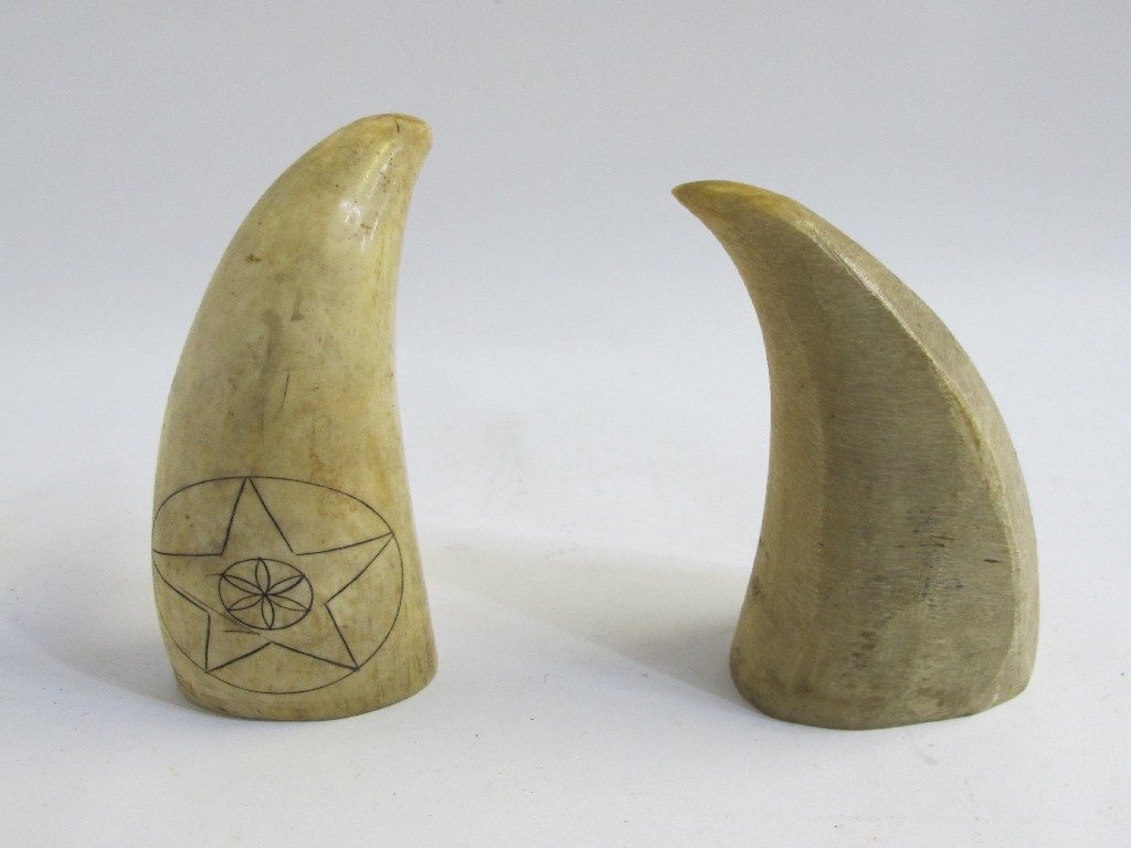 Appraisal: Lot comprising two whale's teeth