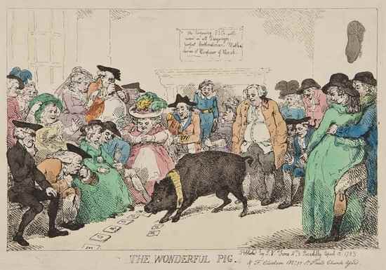 Appraisal: Thomas Rowlandson - The Wonderful Pig the very popular phenomenon