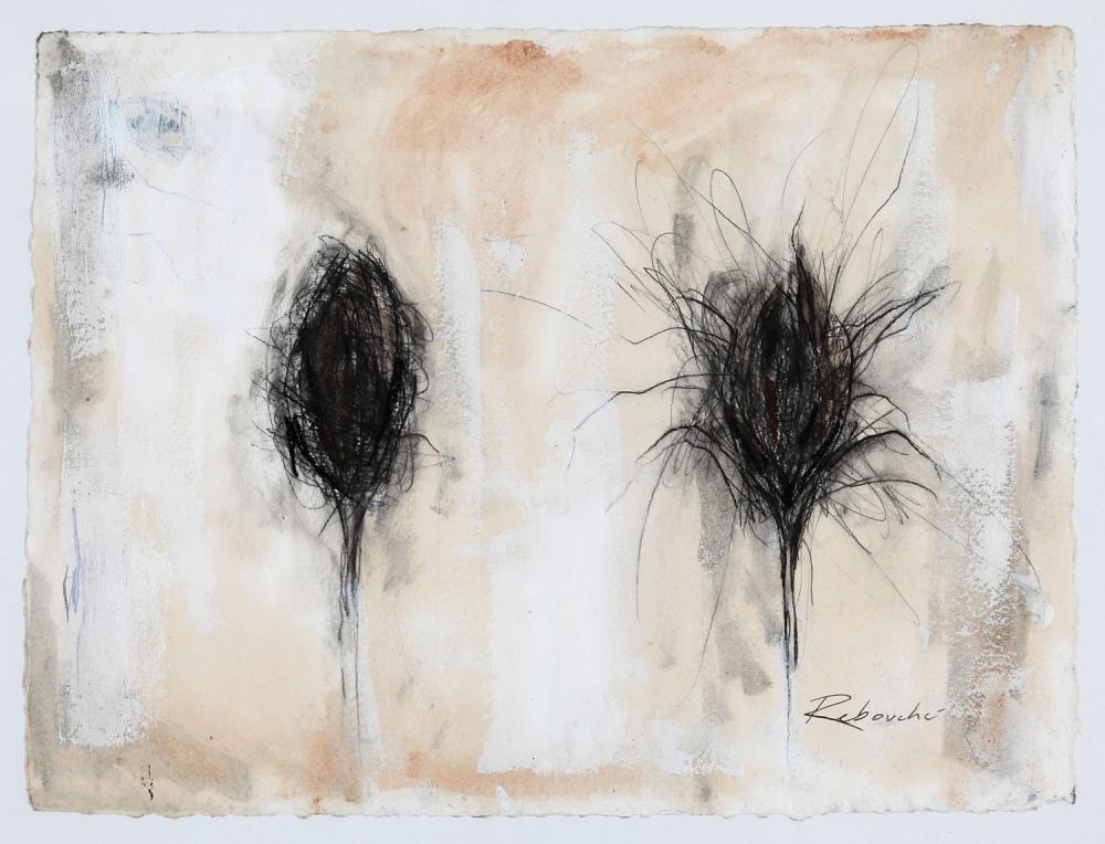 Appraisal: Rebecca Rebouch American New Orleans th c Seed Pods graphite