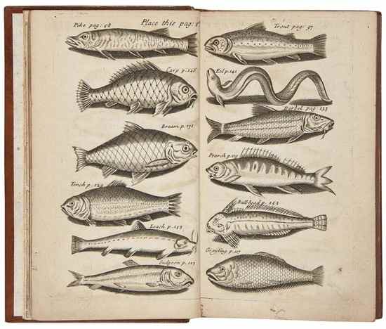 Appraisal: Chetham James The Angler's Vade Mecum second edition engraved plates