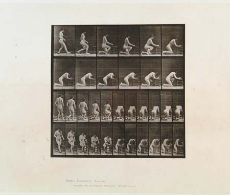 Appraisal: EADWEARD MUYBRIDGE - ANIMAL LOCOMOTION PLATE Photographic print shows three