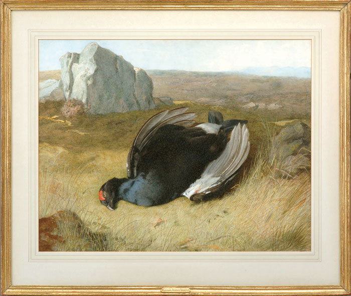 Appraisal: ARCHIBALD THORBURN BRITISH - BLACKCOCK Watercolor on paper x inches