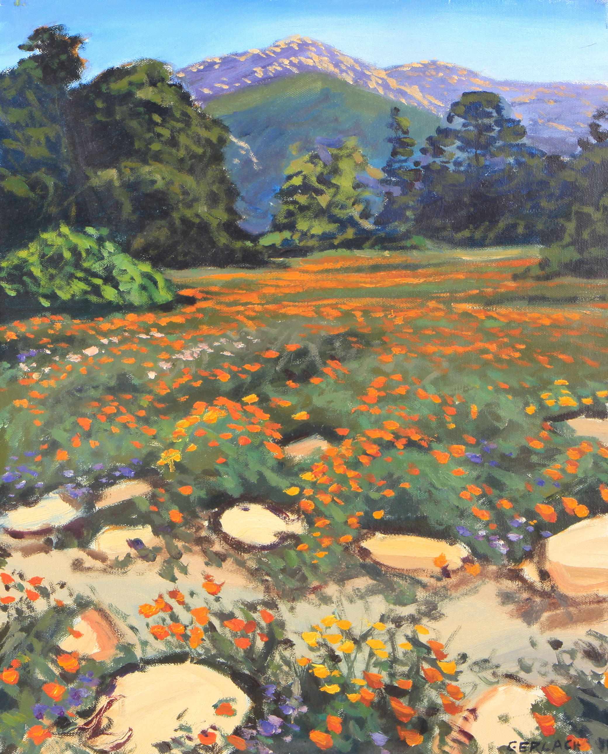 Appraisal: Christopher S Gerlach American born A Field of Poppies signed