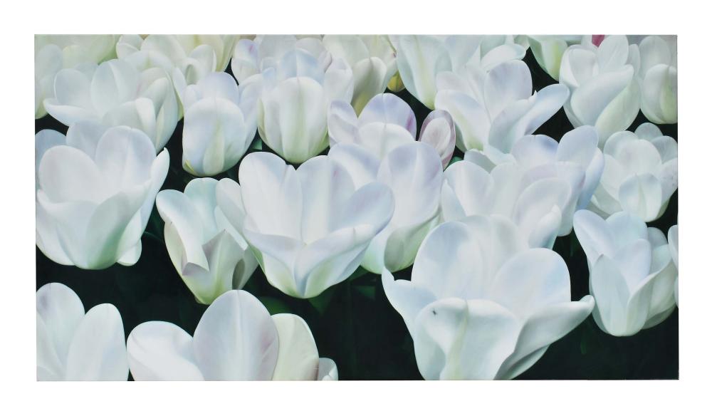 Appraisal: AMERICAN EUROPEAN SCHOOL TH CENTURY White Tulips Unsigned Giclee Printed