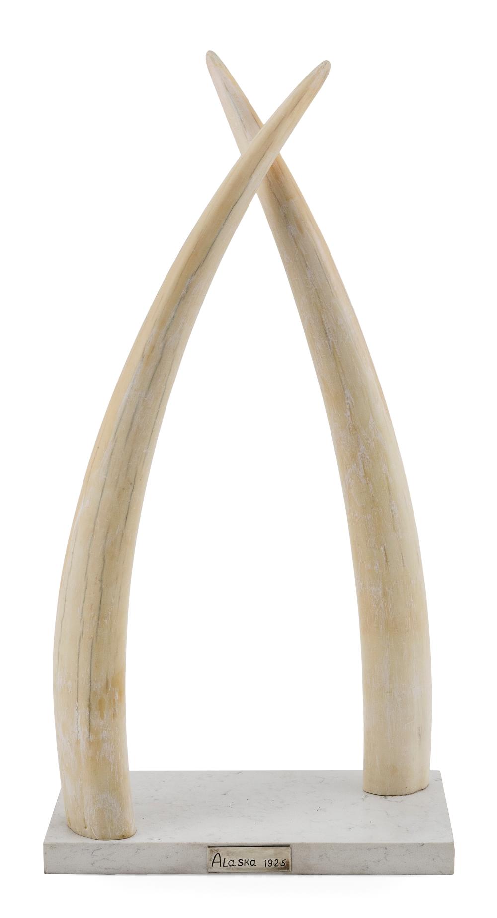 Appraisal: PAIR OF INUIT WALRUS TUSKS ALASKA CIRCA HEIGHT ON BASE