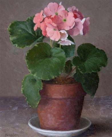 Appraisal: GERALD NORDEN British - 'Primulas' signed and dated ' lower