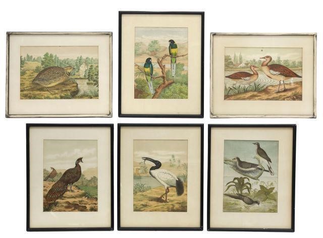 Appraisal: lot of Framed lithographs on paper plates from an ornithology