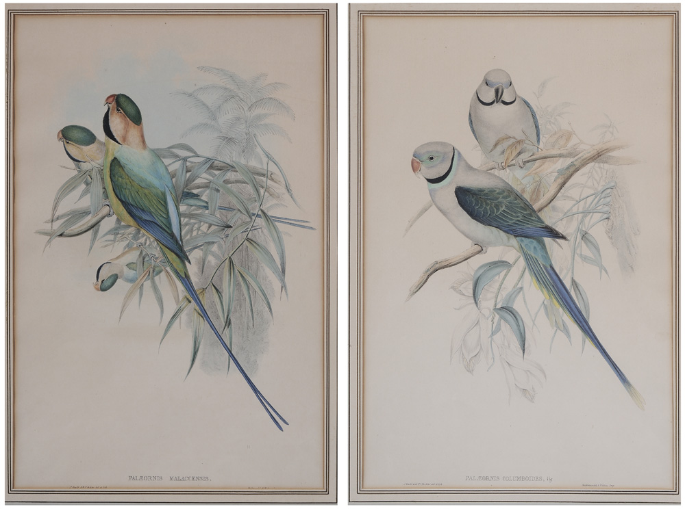 Appraisal: Gould and Richter John Gould and H C Richter th