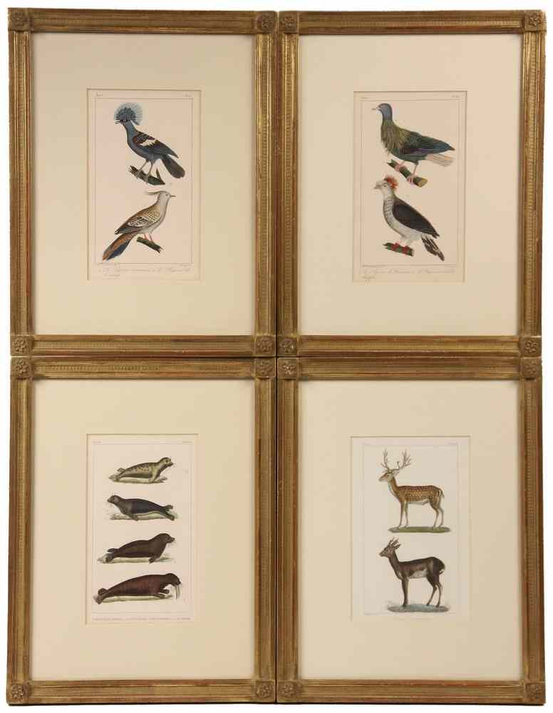 Appraisal: HANDCOLORED ENGRAVINGS NATURAL HISTORY - Including Ornithological Prints by Lecerf