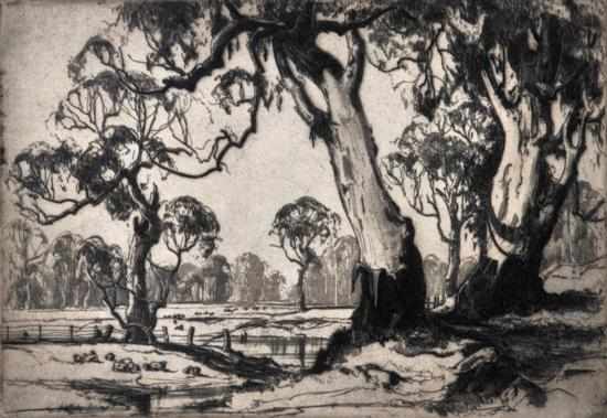 Appraisal: Douglas Pratt - Gums of the Sunny South etching x