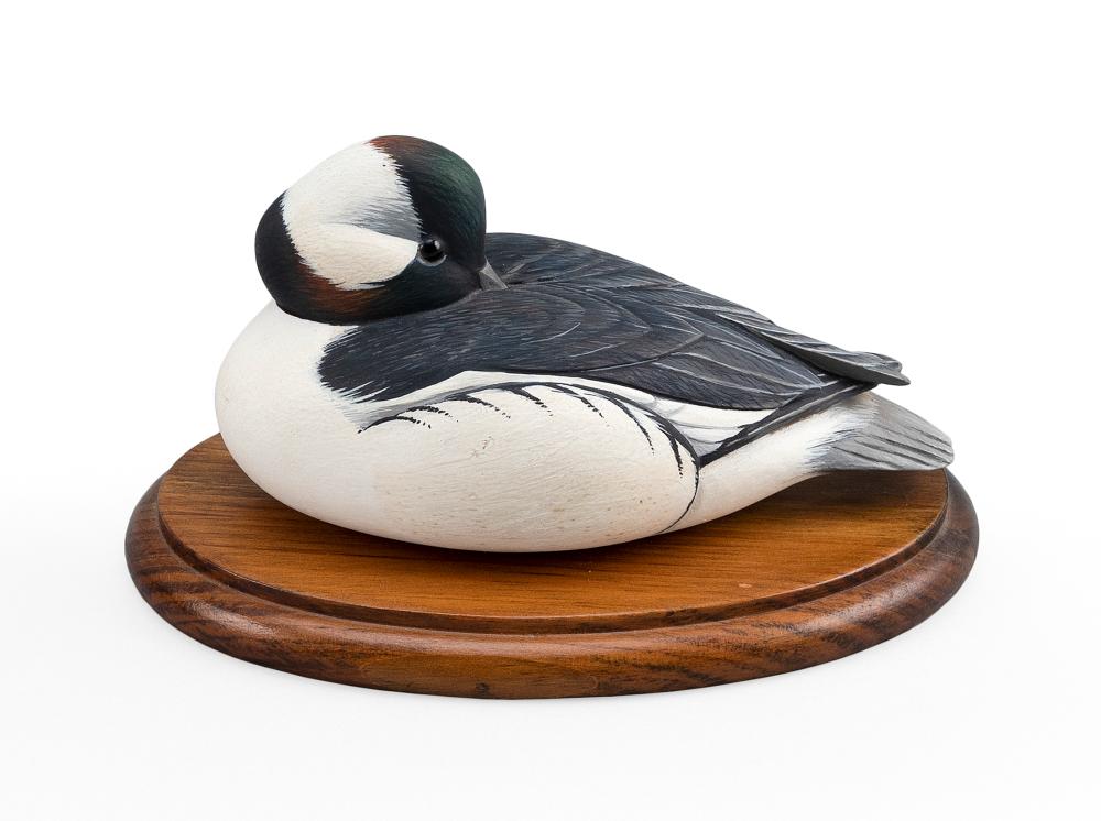 Appraisal: RAND GLEASON BUFFLEHEAD DRAKE MASSACHUSETTS TH CENTURY LENGTH RAND GLEASON