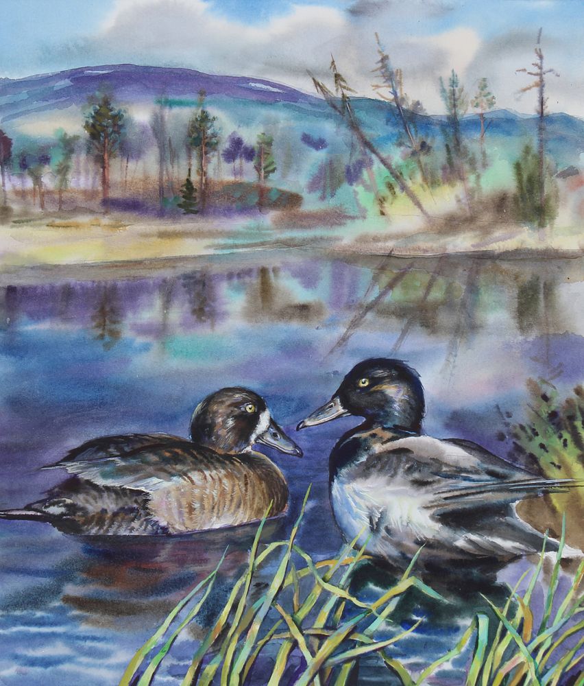 Appraisal: Ivan Kozlov B Greater Scaup Original Ivan Kozlov Russian B