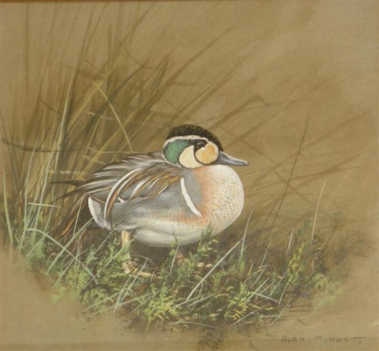 Appraisal: Alan M Hunt watercolour study of a duck signed Saleroom