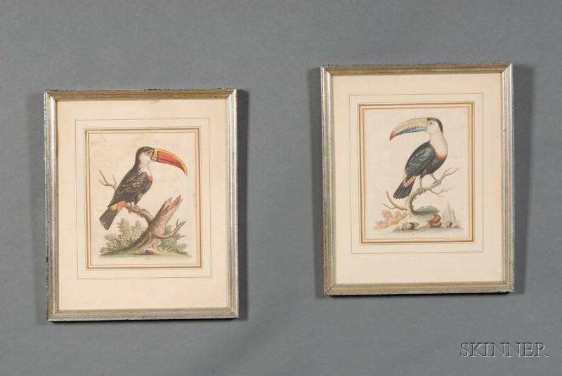 Appraisal: Pair of Decorative Hand Colored Ornithological Prints th century after