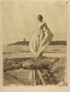 Appraisal: Print Anders Zorn Anders Zorn Swedish - Svanen the Swan