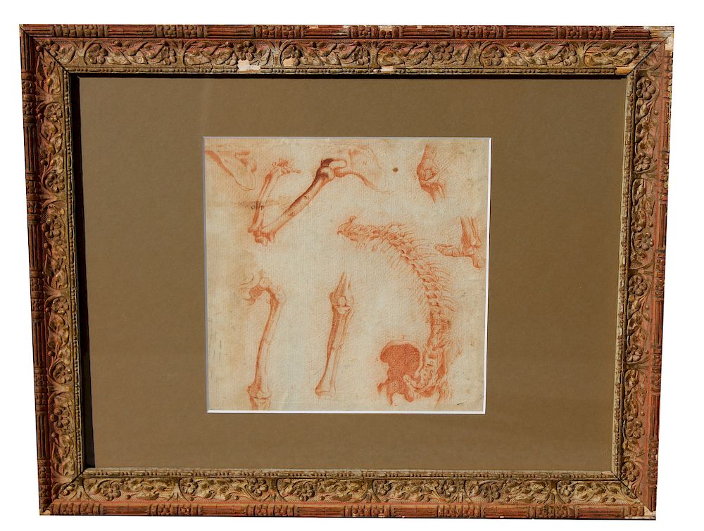 Appraisal: th C Old Master Drawing Anatomical Study th C Old