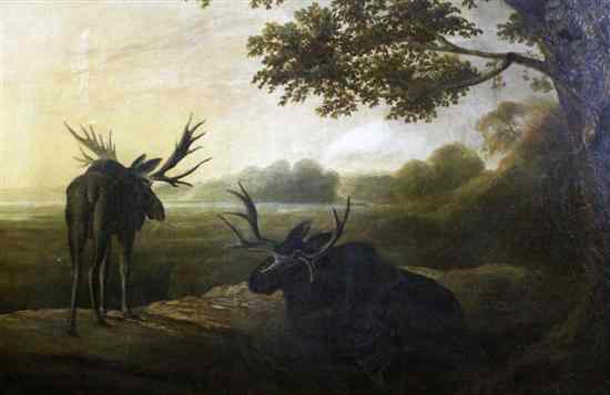 Appraisal: th C English School oil on canvas Moose in a