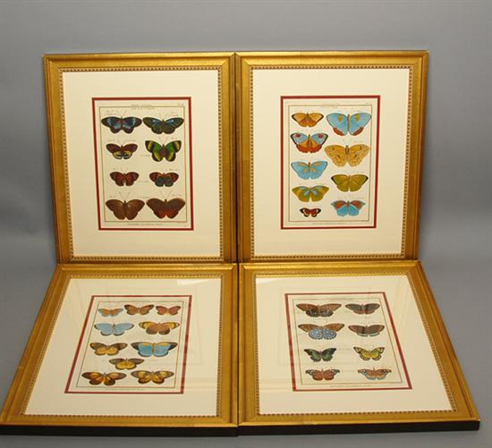 Appraisal: Four Denis Diderot Engravings of Butterflies hand-colored Paris c Framed