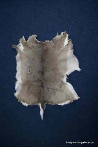 Appraisal: Whitetail Deer Tanned Hide RugThis a small size Whitetail Deer