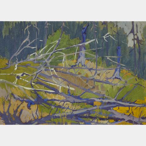 Appraisal: TOM THOMSON FOREST BRANCHES graphite and gouache on board height