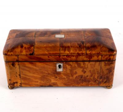 Appraisal: A late th Century tortoiseshell tea caddy the cover with