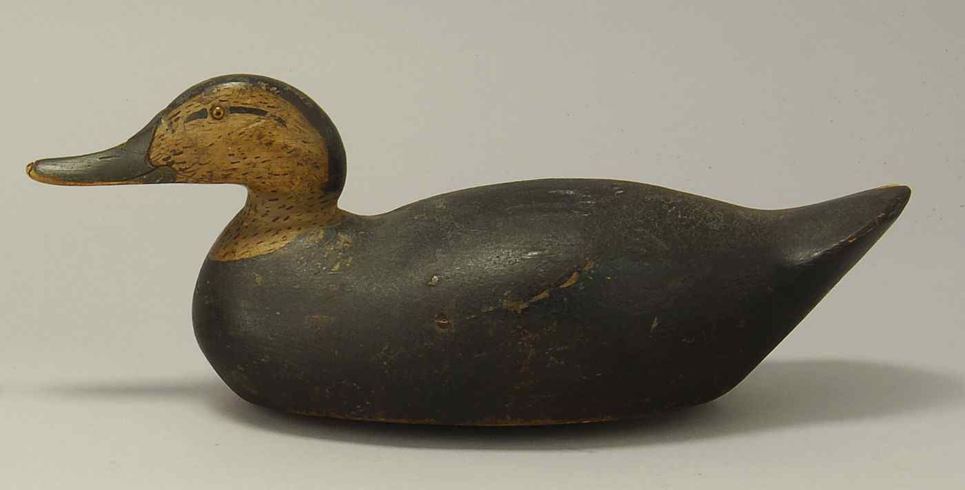 Appraisal: BLACK DUCK DECOYBy the Mason Decoy Factory of Detroit Michigan