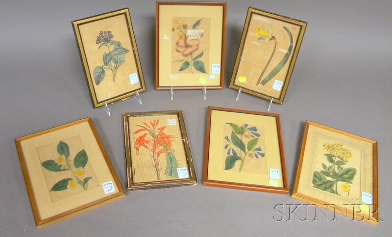 Appraisal: Seven Small Framed th Century Hand-colored Botanical Prints sight lg