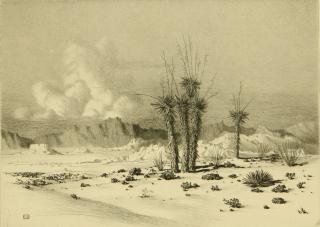 Appraisal: GEORGE ELBERT BURR - PENCIL SIGNED ETCHING Evening Arizona signed