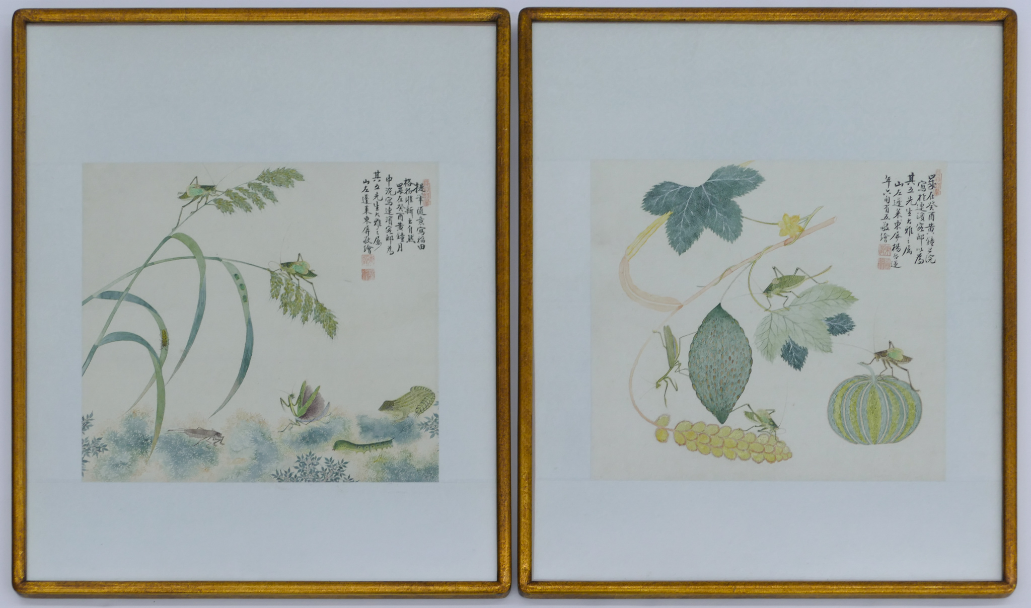 Appraisal: pc Yang Qilian th Cent Chinese ''Insects'' Album Paintings Watercolor