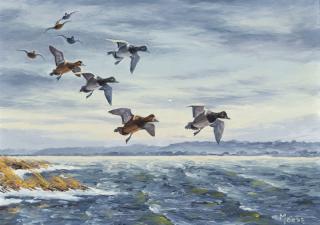 Appraisal: David A Maass b River Birds River Birds - Bluebills