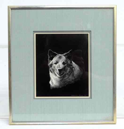 Appraisal: Alderson Magee Ct b china board drawing German Shepherd Has