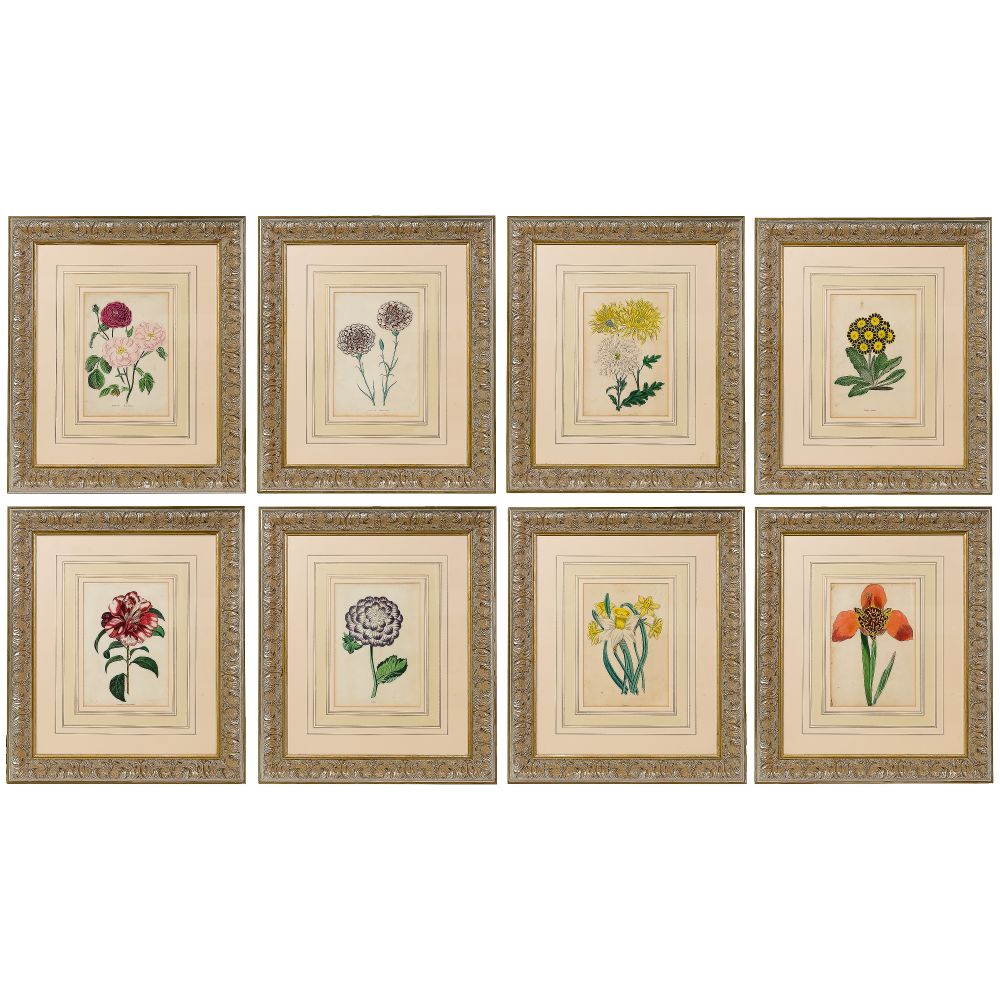 Appraisal: BOTANICAL FRAMED ENGRAVING ASSORTMENT items each depicting various flora including