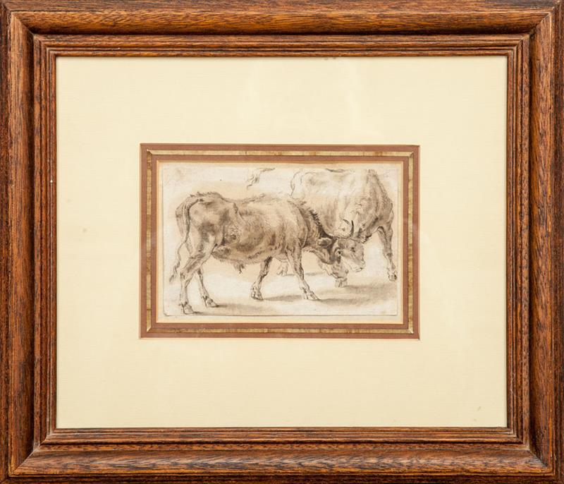 Appraisal: Paulus Potter - Two Fighting Bulls Ink and wash on