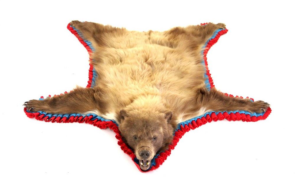 Appraisal: Montana Cinnamon Black Bear Hide Rug Taxidermy For your consideration