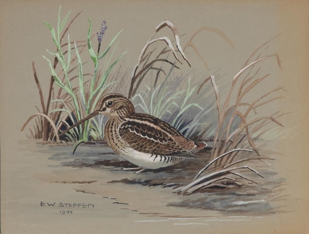 Appraisal: Wilson Snipe signed and dated E W Steffen lower left