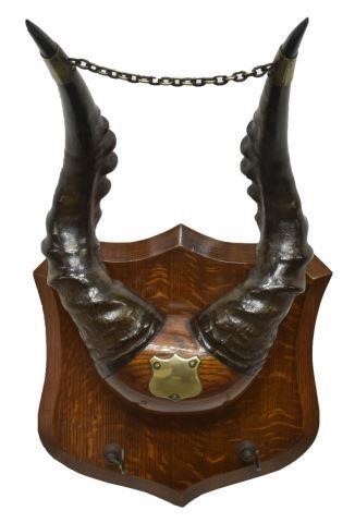 Appraisal: African Eland antelope horn trophy mount on an oak mount