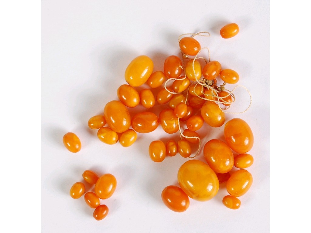 Appraisal: SINGLE STRAND NECKLACE OF GRADUATED ORANGE AMBER BEADS need restringing