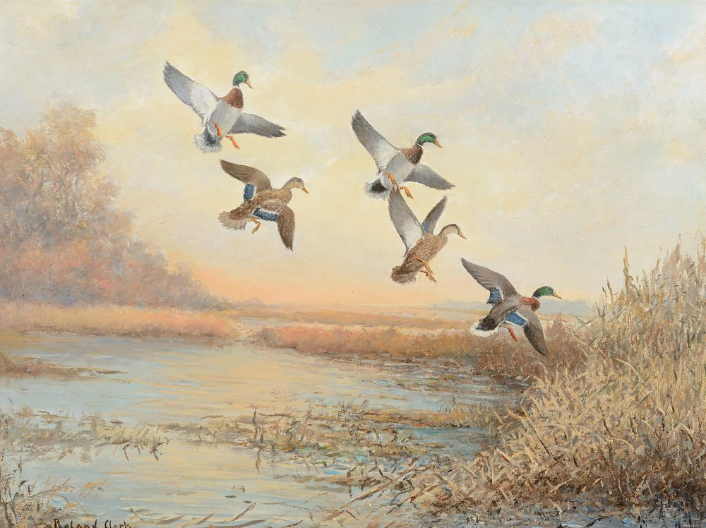 Appraisal: Roland Clark Mallards Roland Clark Mallards oil on canvas laid