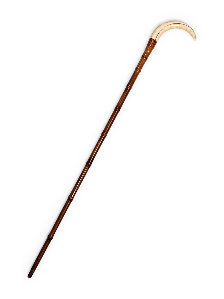 Appraisal: A Boar's Tusk Mounted Bamboo Walking Stick A Boar's Tusk