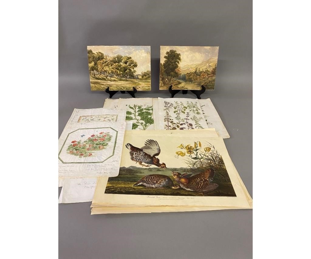 Appraisal: Seven hand-colored botanical prints x together with eight watercolor original